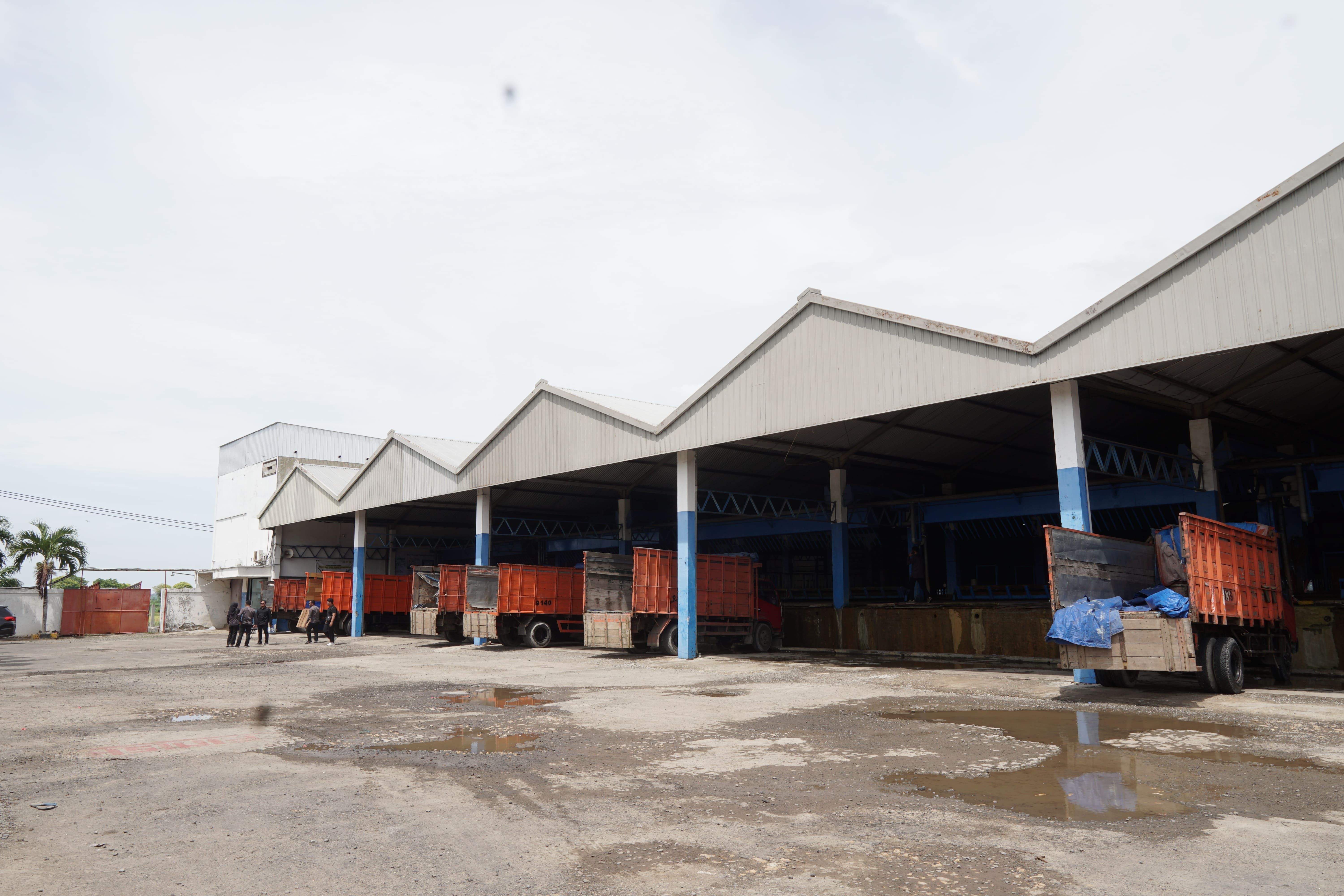 National Production & Network Integration Maesa group