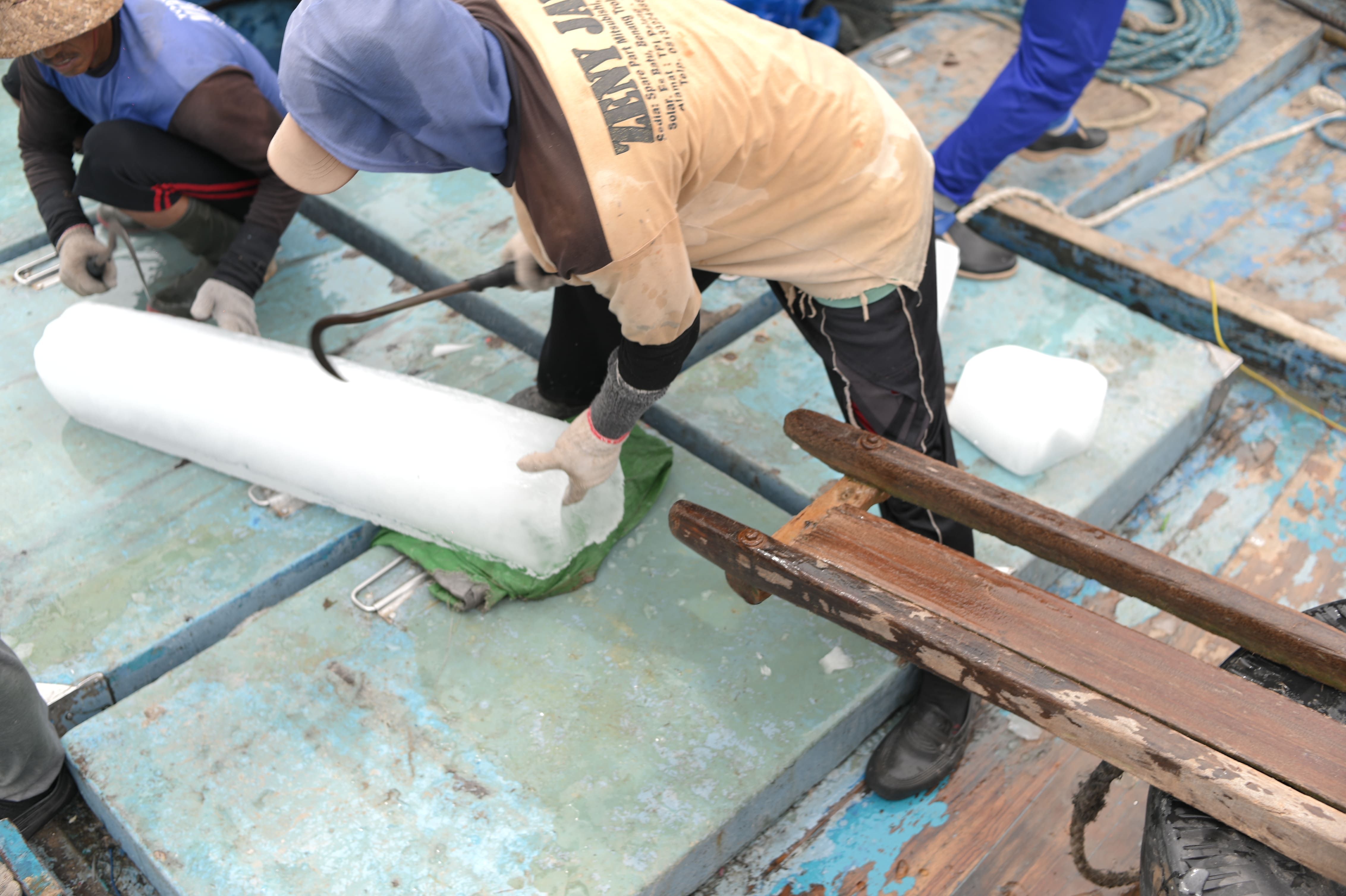 Markets Served Maesa group