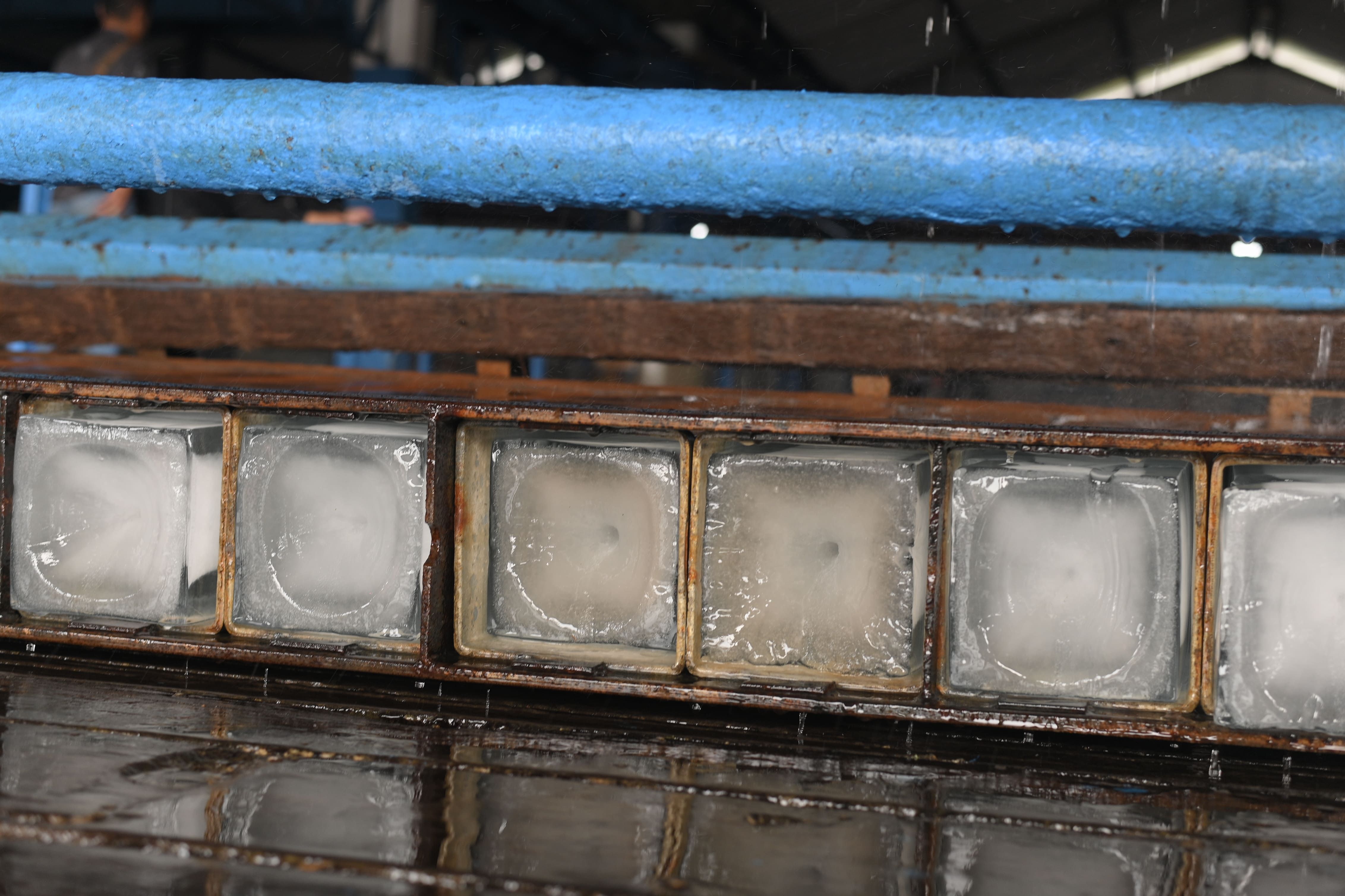 Role Within Maesa Group