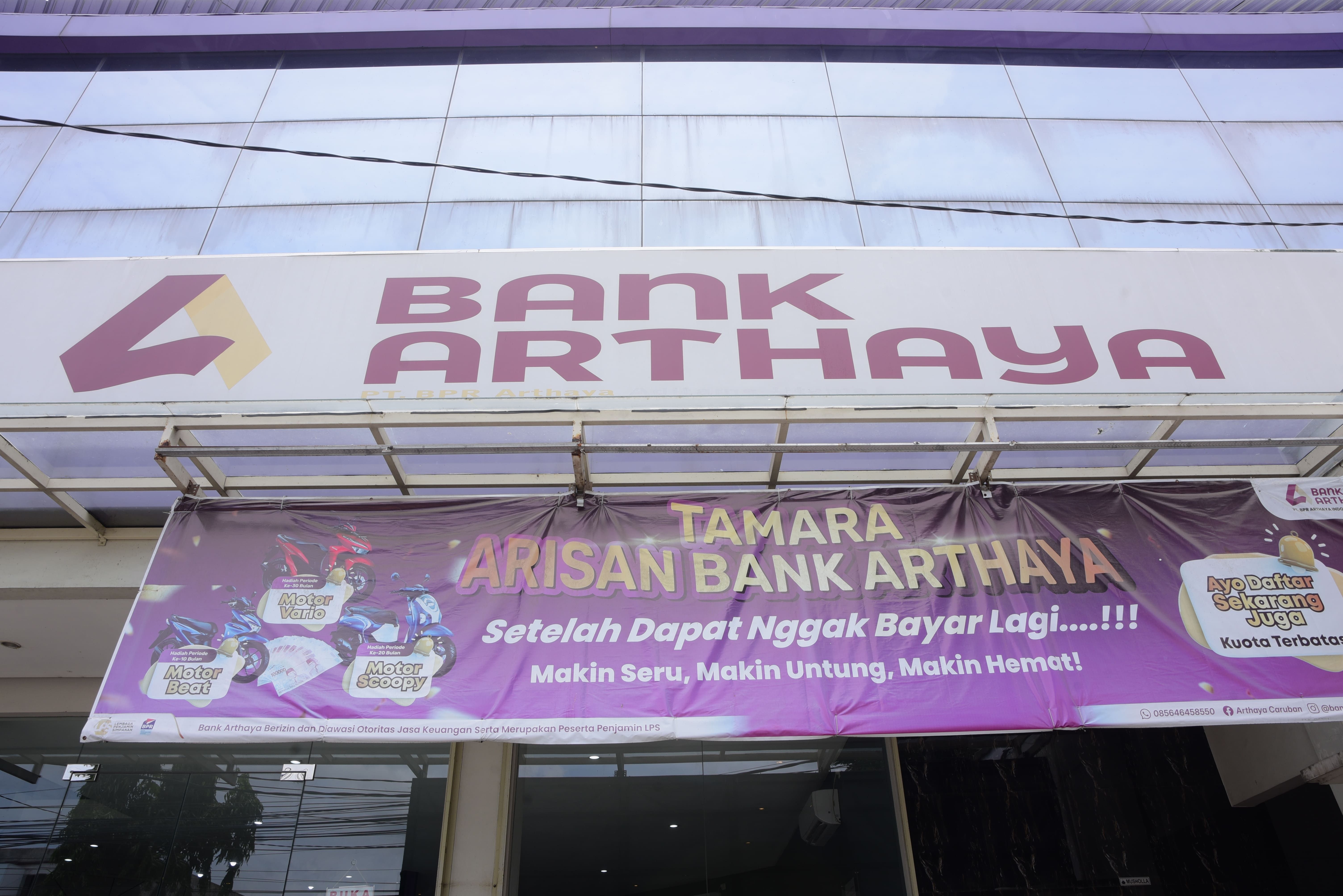 Strong Area Presence Maesa group