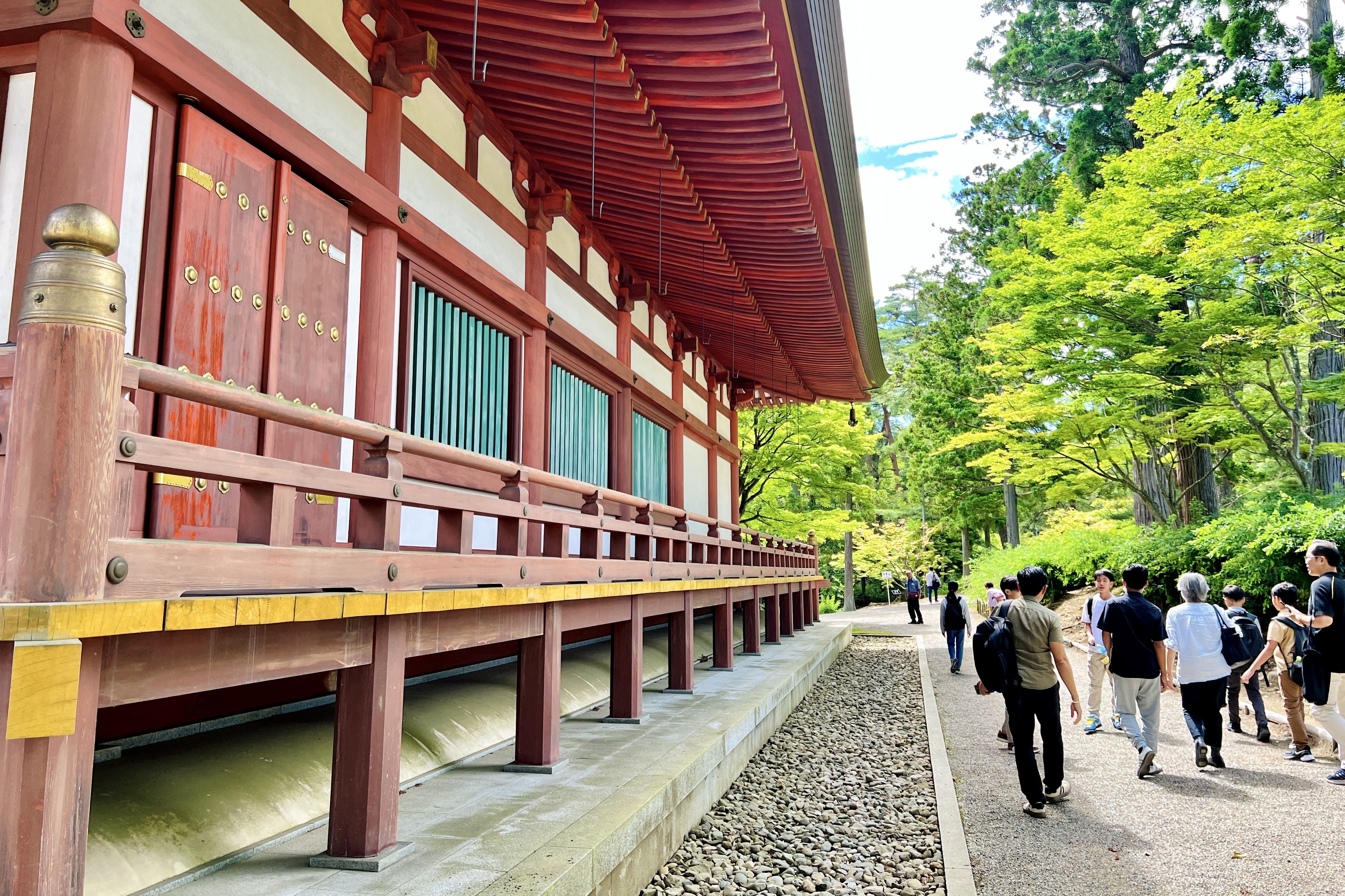 From Personal Growth to Societal Impact Maesa group