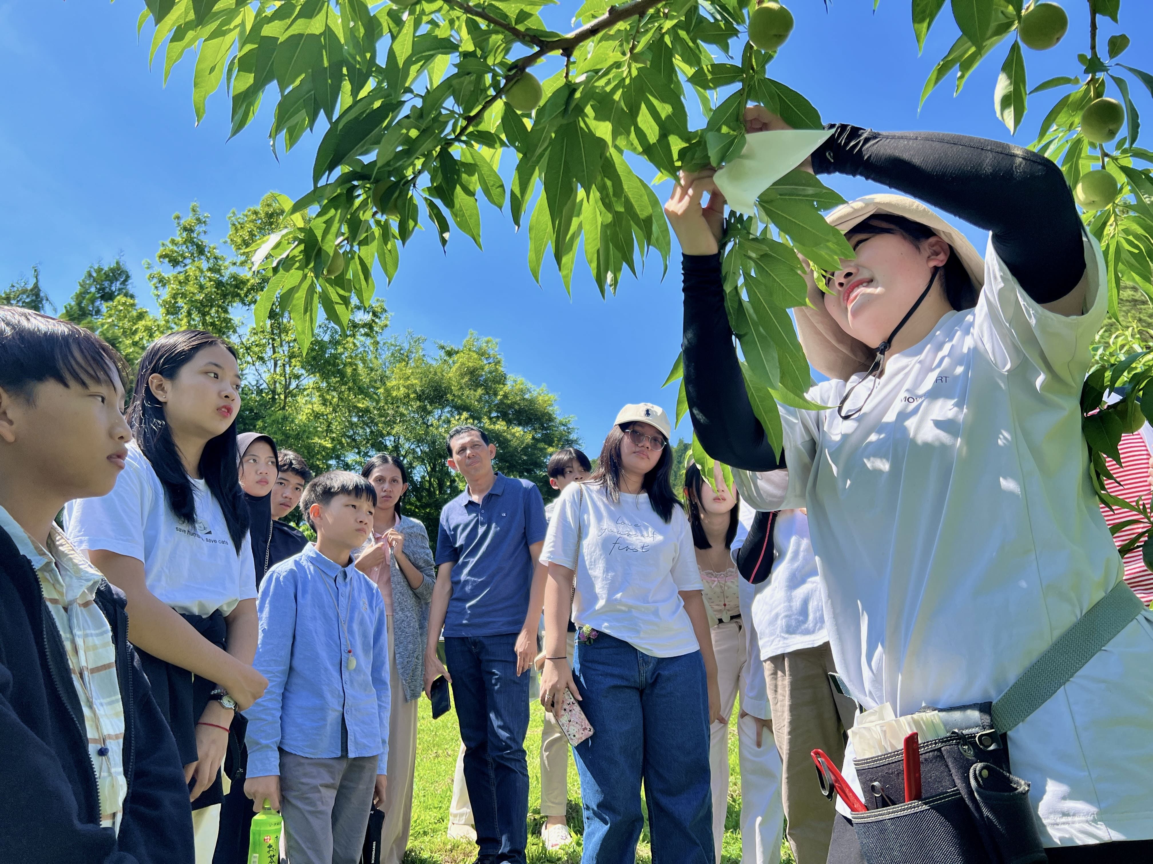 Maesa International Program (MIP) Maesa group