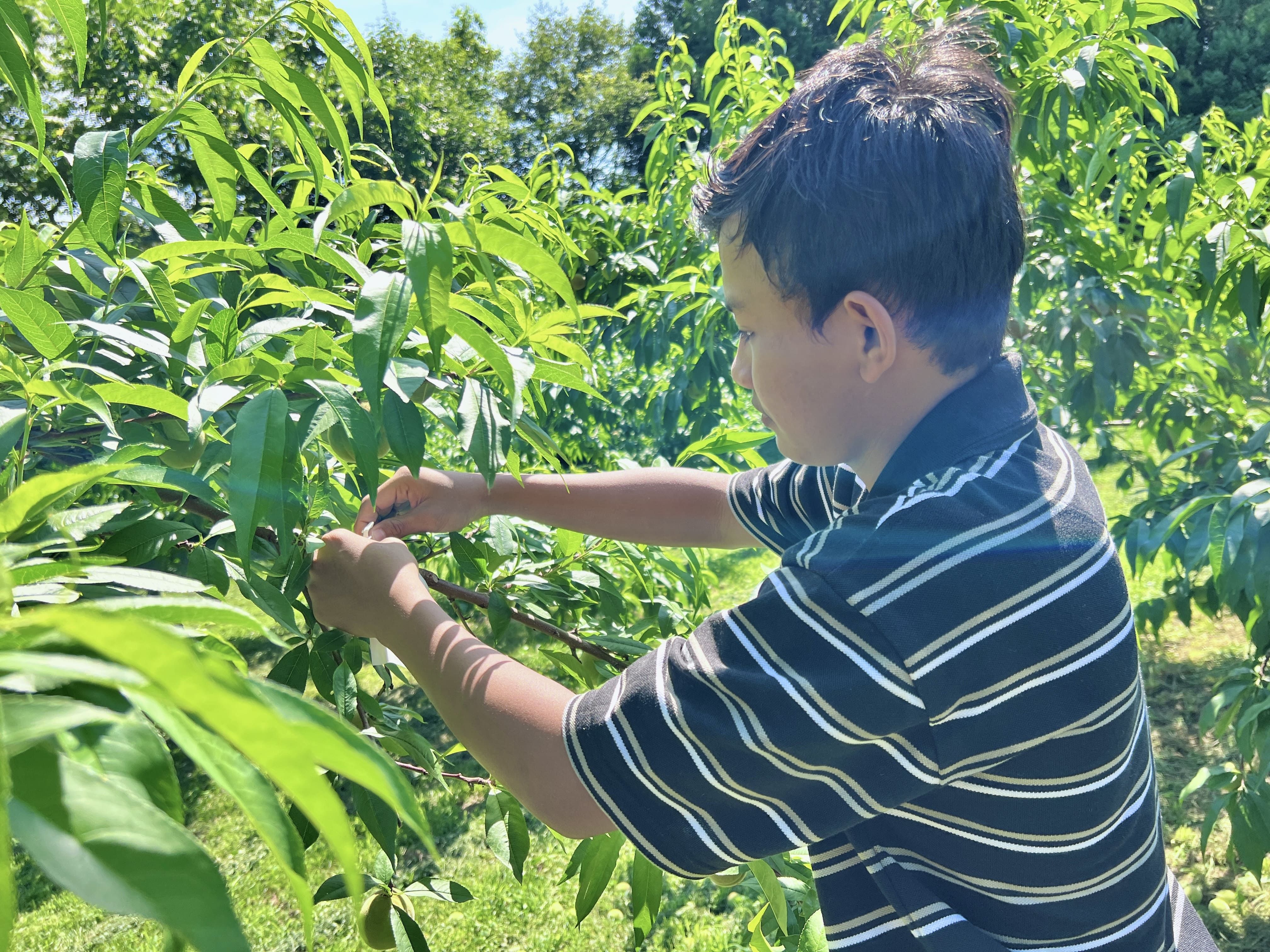 Partnership
with CCE Sendai Maesa group