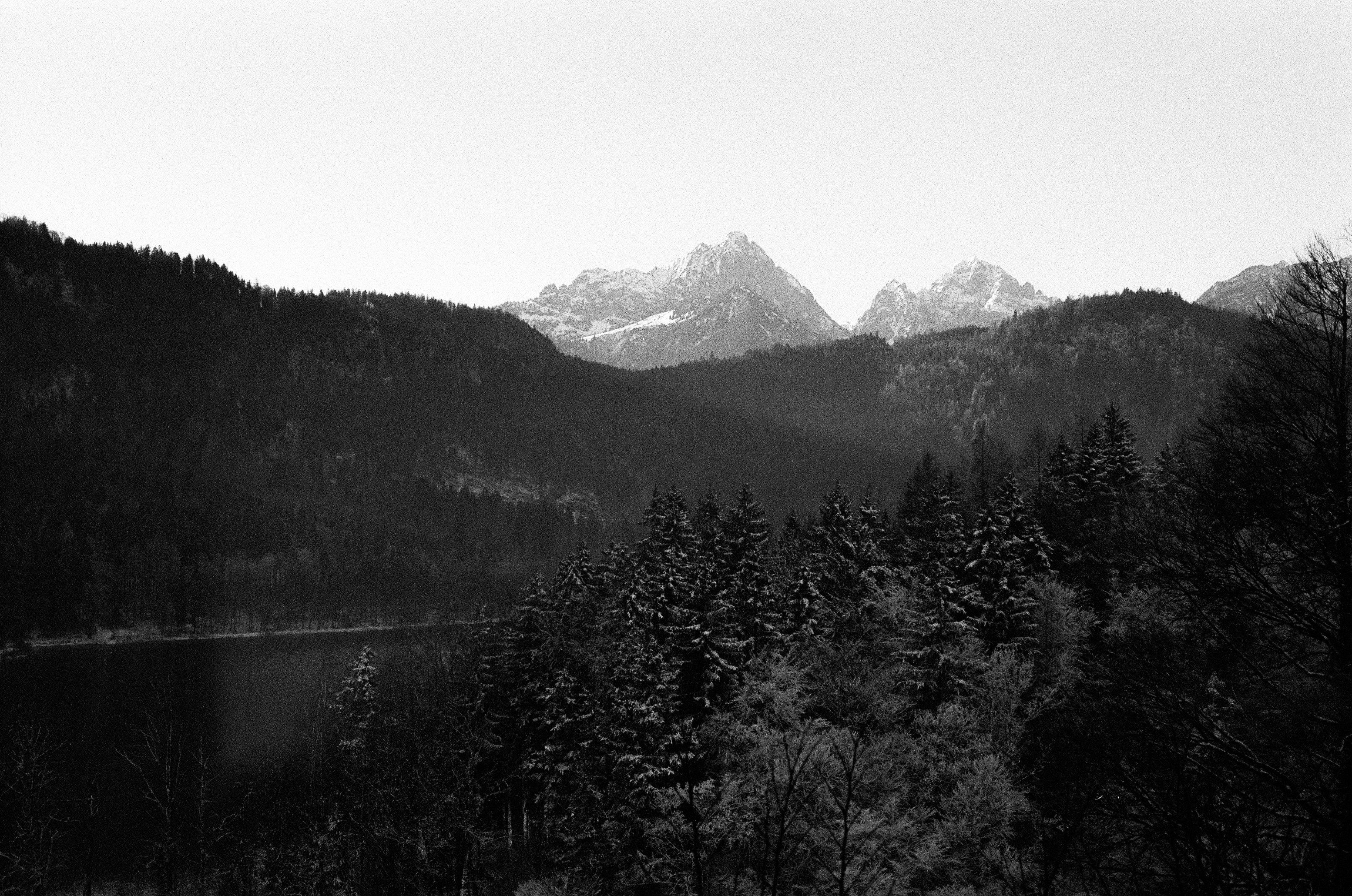 Strengthening Local Roots While Enabling Broader Growth